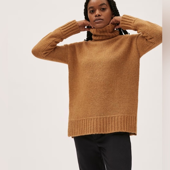 Everlane Sweaters - Everlane Cloud Turtleneck - Camel color